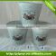 white color wooden flower pot seed planter