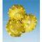 Kingdream 10 5/8 tci(tungsten carbide insert) tricone rock bits for water well and oil well