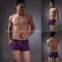 Hot Product, Men's Underwear, Underpants, Men's Boxer Shorts