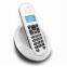 DECT Phone