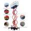 6m Hydraulic Lift/Mobile Scissor Lift Table Cargo Lift