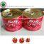 Best quality Fresh Canned Tomato paste