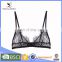 Factory in china stylish beauty lovely fancy transparent sexy teen bra