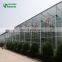 Heater Hydroponics Greenhouse Tomatoes