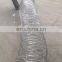 Galvanized concertina razor wire razor barbed wire