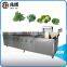 Fruit and vegetable commercial washing machine red date washing machine lettuce washing machine