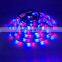 LED Strip 2835 Multi-Color Kit RGB Led Light Tape DC12V Waterproof Flexible LED Light Flexible with remote Supply for Indoor