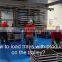High efficient mealworms freeze dryer manufacture for pet food