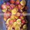 Sinocharm Frozen fruits Top Quality IQF juicy Peach Halves Honey Peach Frozen Half Cut IQF Frozen Juicy White Peach Halves