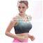 High Stretch Sports Bras for Fitness Yoga Running Gym Seamless Sport Bra Top Women Quick Dry Padded Sports Top