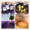 Lavender essential oil separation equipment electric extraction machine