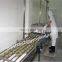 Design tools and equipment in fish processing with cheap price
