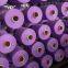 INDITEX Approved Polyester Dope Dyed DTY 50D-600D