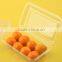 eco-friendly disposable plastic plastic fruit tray