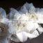 Floral Bohemian Bridal Accessories Luxury Austrian Crystal Ribbon Flower Hair Accessory Fashion Women Hair Jewelry
