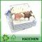 Ningbo Exported Custom Gift Boxes for Gifts