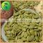 Crop Top 2015 Shine Skin Pumpkin Kernels With High Quality