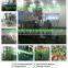 420/520/720 Large Vertical High Quality Potato Chips Automatic Packing Machine