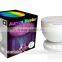 Factory Price Aurora Master Colorful Led Ocean Projector With Audio Speaker                        
                                                Quality Choice