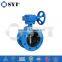 Gearbox Operated Butterfly Valve