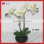 White Orchid Wholesale Silk Fabric Artificial Fake Flower