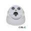CMOS DOME CCTV CAMERA with 2 Array LEDs good Night Vision security camera 100pcs