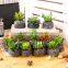 2016 Latest Design Artificial Succulent Pot Succulent Plants For Sale