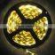 Led light waterproof IP65 White Flexible LED Strip 3528 120leds/m flexible led strip lighting