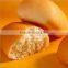 2015 Most Professional French Bread Production Line