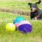 Hollow Rubber Pet Ball