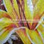ZTCLJ JY-JH-BH02-A Yellow Lily Flower Glass Mosaic Tile Wall Mural Design
