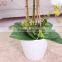 factory customized new design artificial plant white butterfly orchid flower with pot