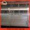 battery pullet rearing cage poultry equipment