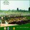 high quality agriculture and garden micro spray tape