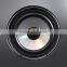 shanghai strong magnetsfield coil magnet speaker