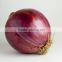 Red Onions Indian Onions