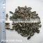 Top quantity Chinese sunflower oil seeds in shell 5009 with market price