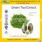 GMP factory supply Health Green Tea Extract Powder EGCG