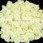 100% PURE GARLIC