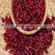 JSX low price red kidney beans price for high quality red speckled kidney bean