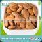 Dried bitter apricot seed/ apricot kernel wholesale