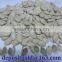 Export grade pumpkin seeds in shell