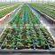 Drip Irrigation Fittings Of Drip Irrigation Mini Valve Factory Supply