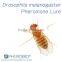 Pheromone Lure for Drosophila Melanogaster and Trap Set