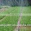 China Low Price New Micro Drip Tape Irrigation