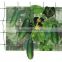 Plant Support Net/Vegetable climbing Net/Cucumber climbing Net/ Bean netting/Flower net
