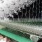 Hot sale galvanized/PVC coated chicken hexagonal wire mesh factory