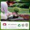 Polypropylene Agriculture Plastic Ground Cover Mesh