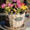 100%Handmade white wicker cup shape flower plant basket wicker baskets for plants