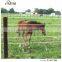 High Quality Fentech Electric Fence Wire, Horse Fence